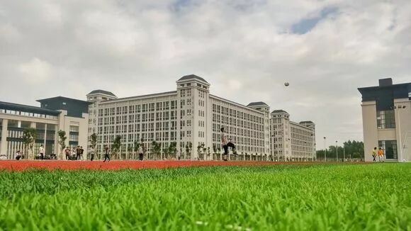 233d8d25ab18972b1de7a628e8cd7b899f510a24.jpg 图片